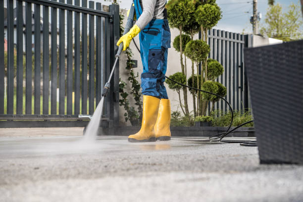 Best Local Pressure Washing Services  in Howard, WI