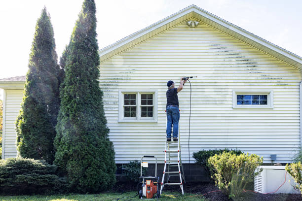 Best Roof Pressure Washing  in Howard, WI